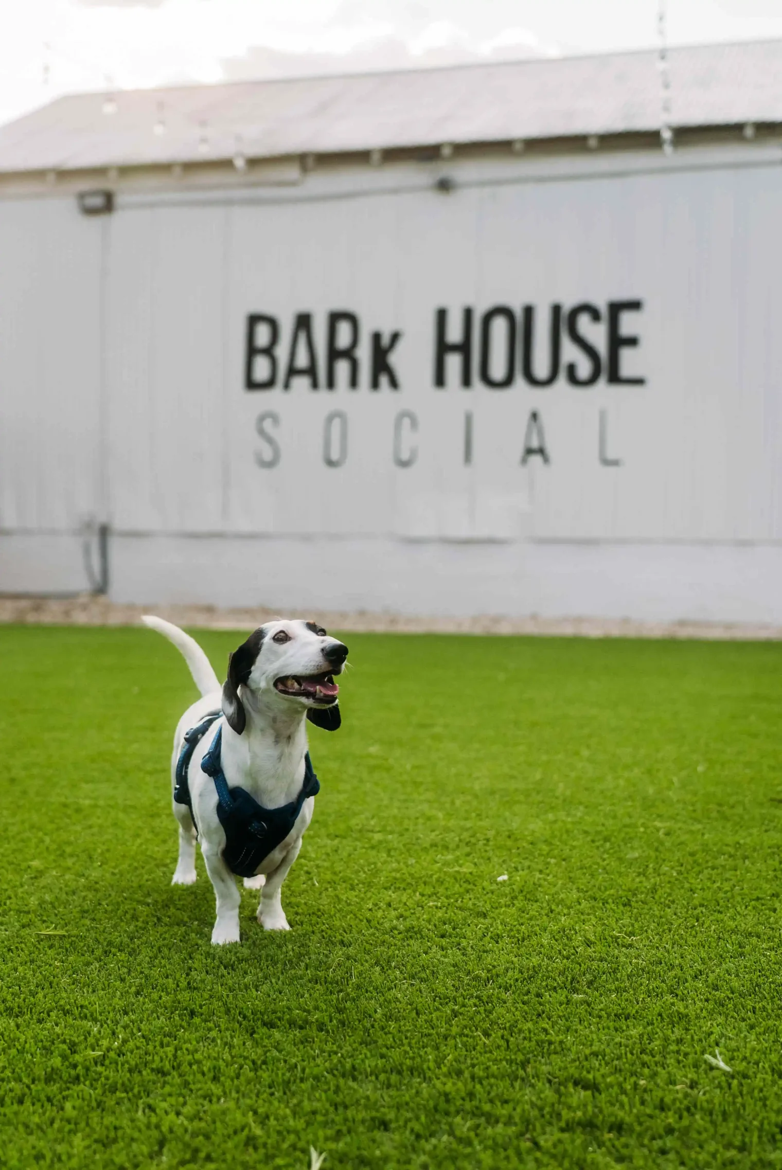 photoby onwardgroup dsc07881