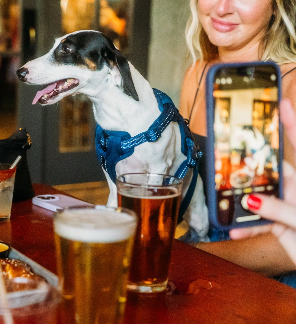 photoby onwardgroup dsc07945