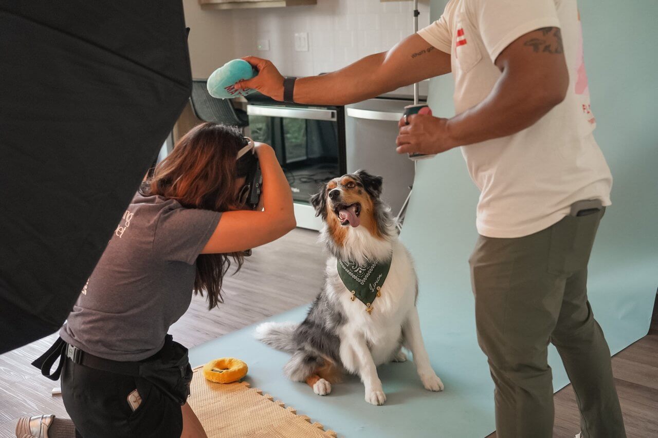Pawshots ATX Pawshots ATX at Lirica live work units